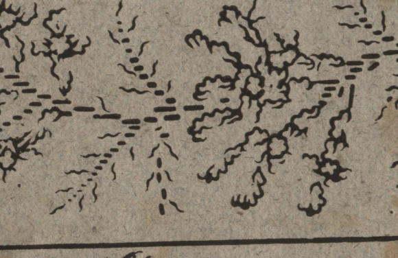 Musteransicht Stoffmuster 5156